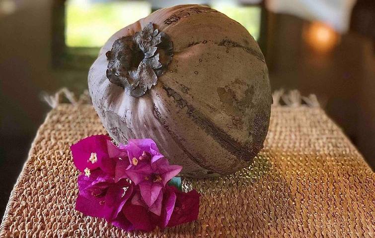 Location de vacances pour 4 personnes, avec jardin et terrasse ainsi que piscine et jacuzzi dans Ha'apiti - 4