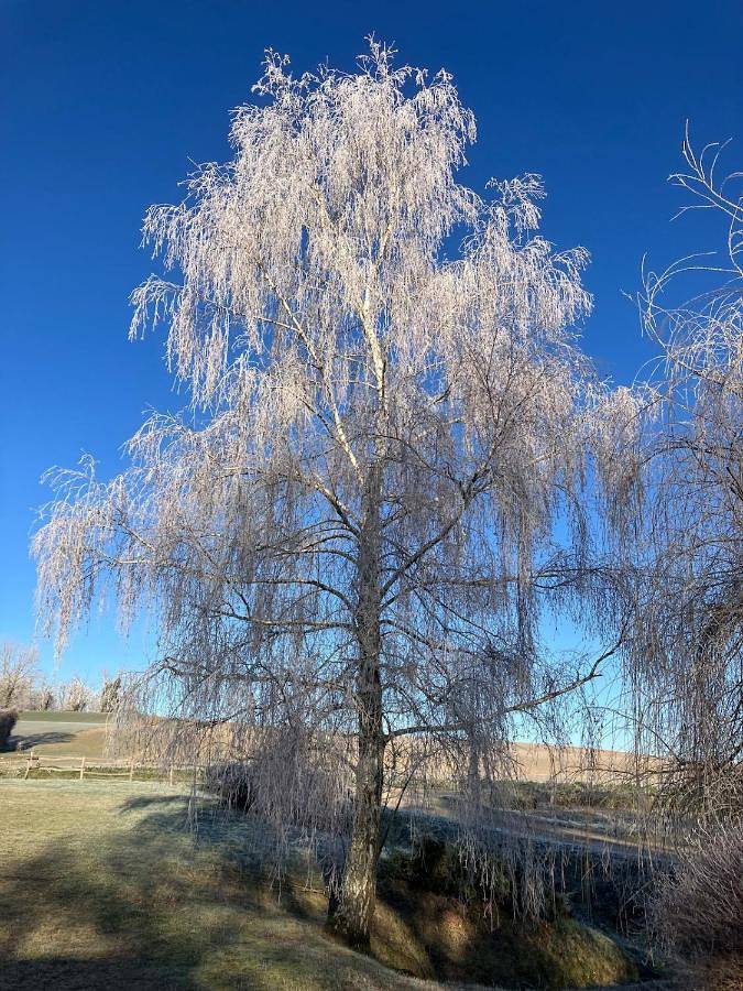 Location de vacances pour 5 personnes, avec jardin et terrasse, animaux acceptés à Cromac - 3