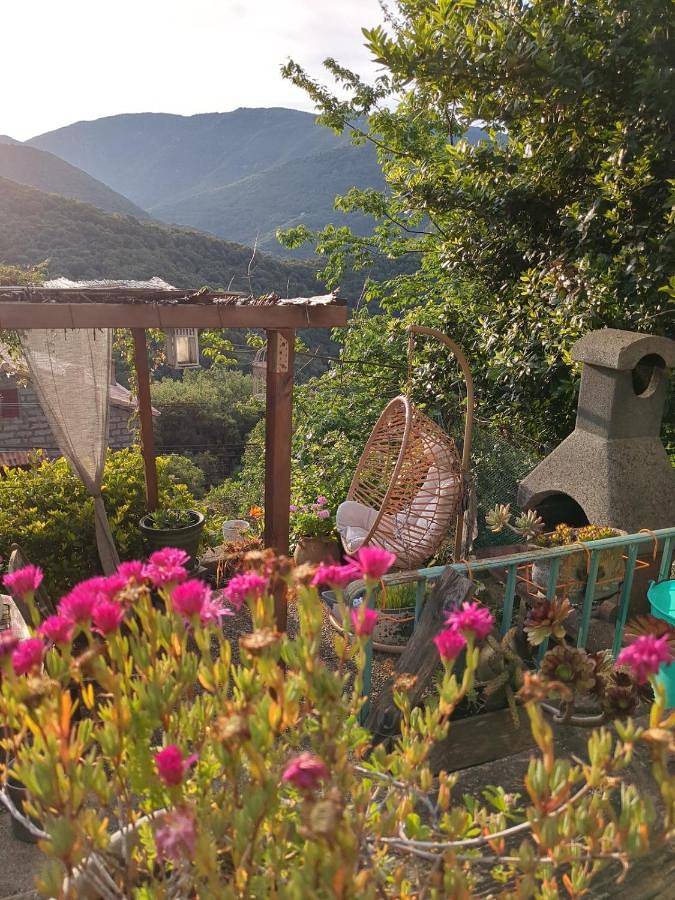 Appartement de vacances pour 4 personnes, avec jardin, animaux acceptés