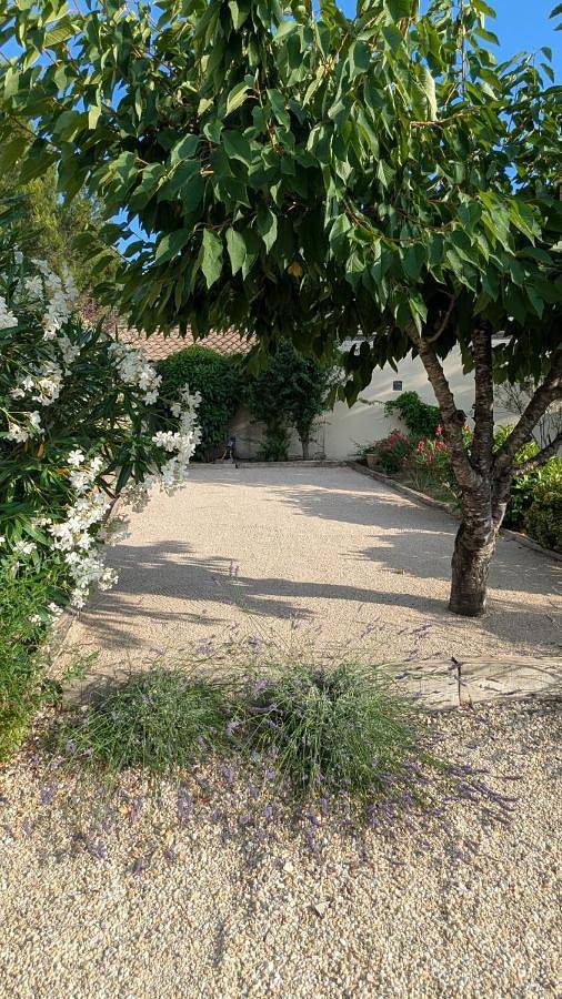 L’oliveraie in Robion, Parc naturel régional du Luberon