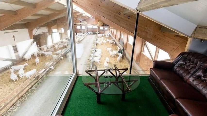 Gîte pour 2 personnes, avec jardin à Schlierbach - 3