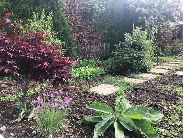 Hôtel pour 3 personnes, avec jardin, animaux acceptés à Audincourt - 4