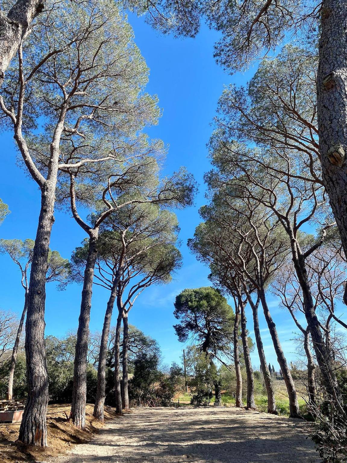 Ganze Ferienwohnung, La Tour, 5-Sterne-Ferienwohnung in Pézenas in Pézenas, Béziers und Umgebung