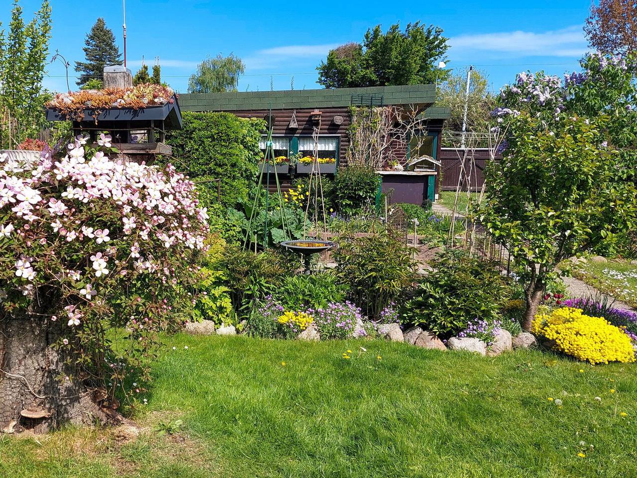 Ganze Ferienwohnung, Ferienwohnung Gänseblümchen - Ferienwohnung Gänseblümchen in Ribnitz, Ribnitz-Damgarten
