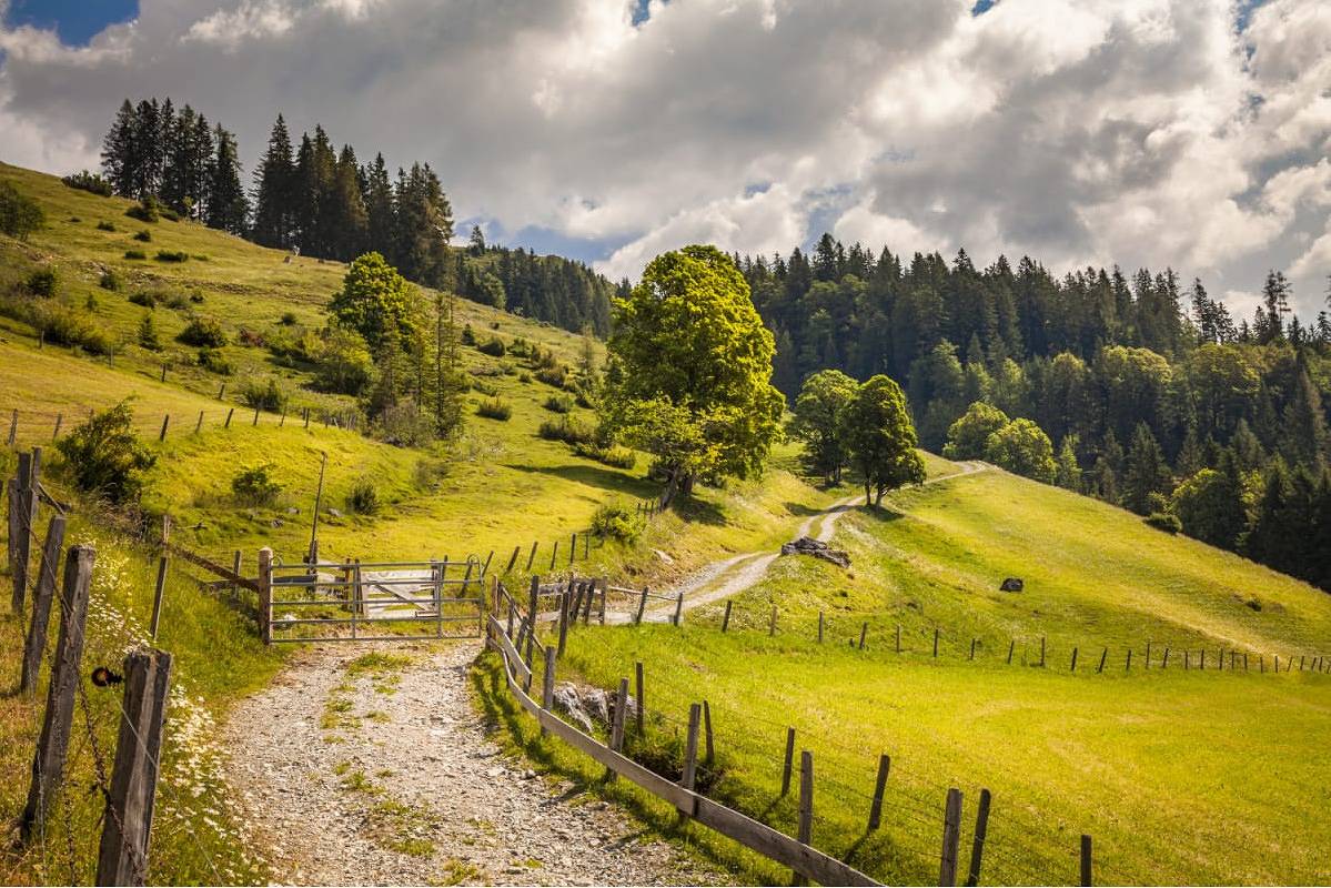Ganze Ferienwohnung, Ferienbauernhof Elmaugut in Mühlbach am Hochkönig, Ski Amadé