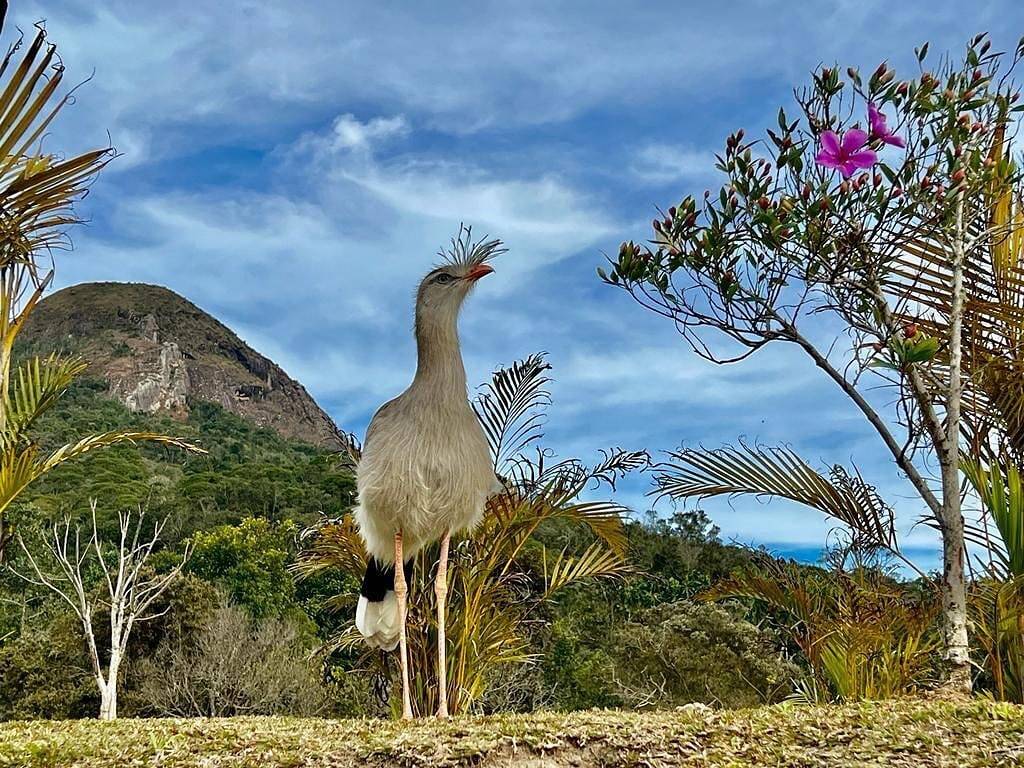 Spectacular house in the mountains of Nova Friburgo - Vale das Seriemas in Nova Friburgo, Rio de Janeiro (Bundesstaat)