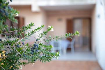 Ferienwohnung für 4 Personen, mit Garten in Marina di Ragusa