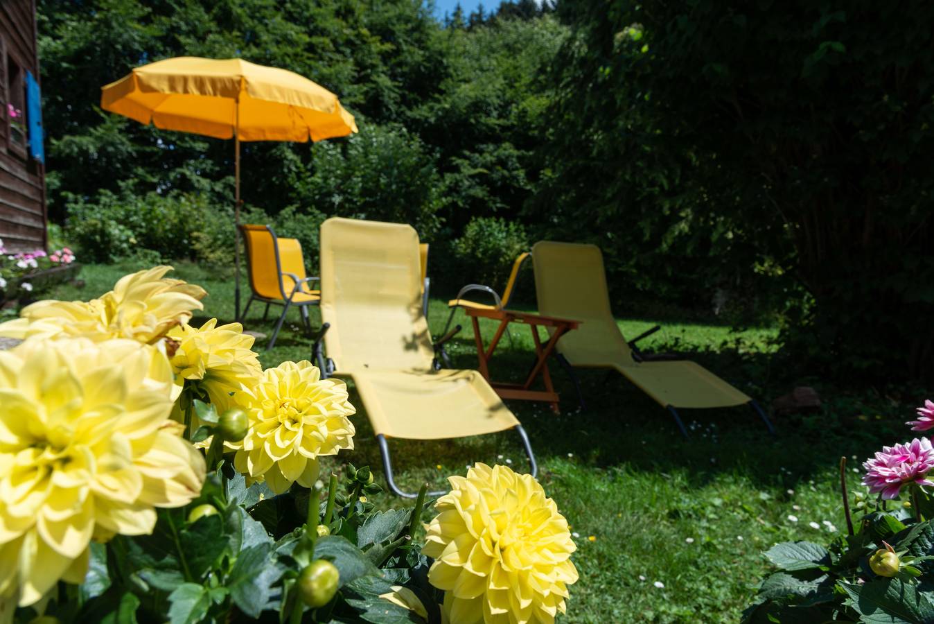 Ganze Ferienwohnung, Chalet Le Petit Tremplin - 3.5 Zimmer Chalet in Leysin, Alpes Vaudoises