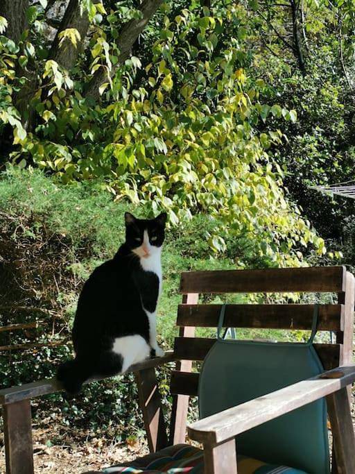 Chalet pour 2 personnes, avec jardin et bassin pour enfant ainsi que vue et piscine, animaux acceptés en Midi-Pyrénées - 4