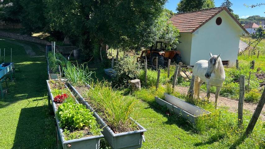 Hotel para 2 personas, con jardín además de terraza y vistas en Pirineo Navarro - 4