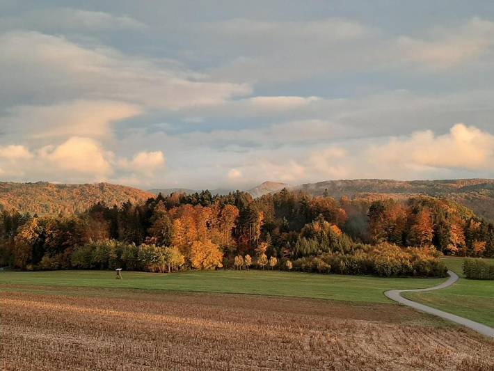 Ferienwohnung für 4 Personen, mit Terrasse und Ausblick sowie Garten in Laufenburg