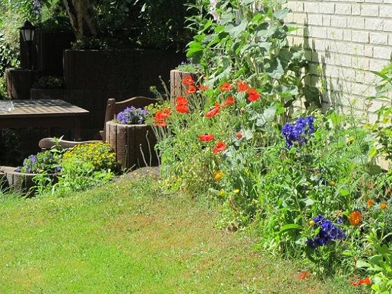 Ferienwohnung für 2 Personen, mit Garten auf Amrum - 3