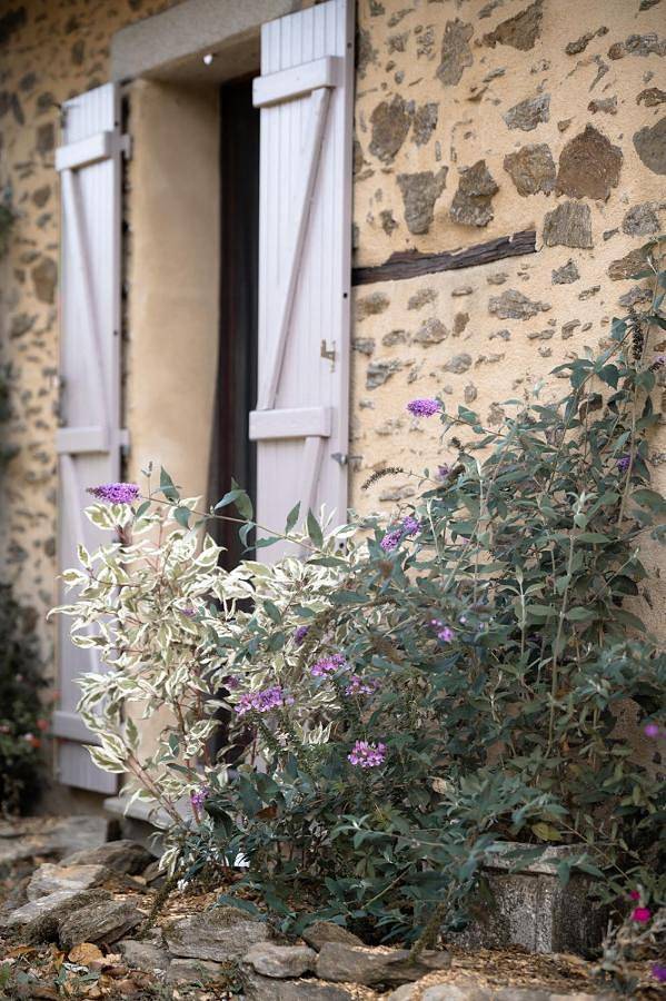Maison d’hôte pour 2 personnes, avec jardin ainsi que vue et terrasse à Champsac - 4
