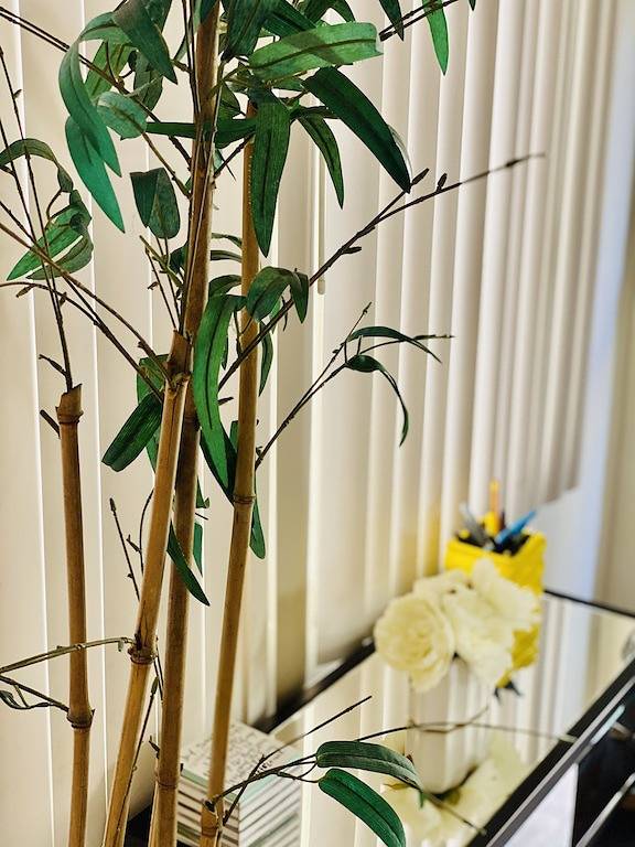 Ganze Wohnung, Modern, Clean and Homey Apt by the Beach! in Hermosa Beach, Los Angeles County