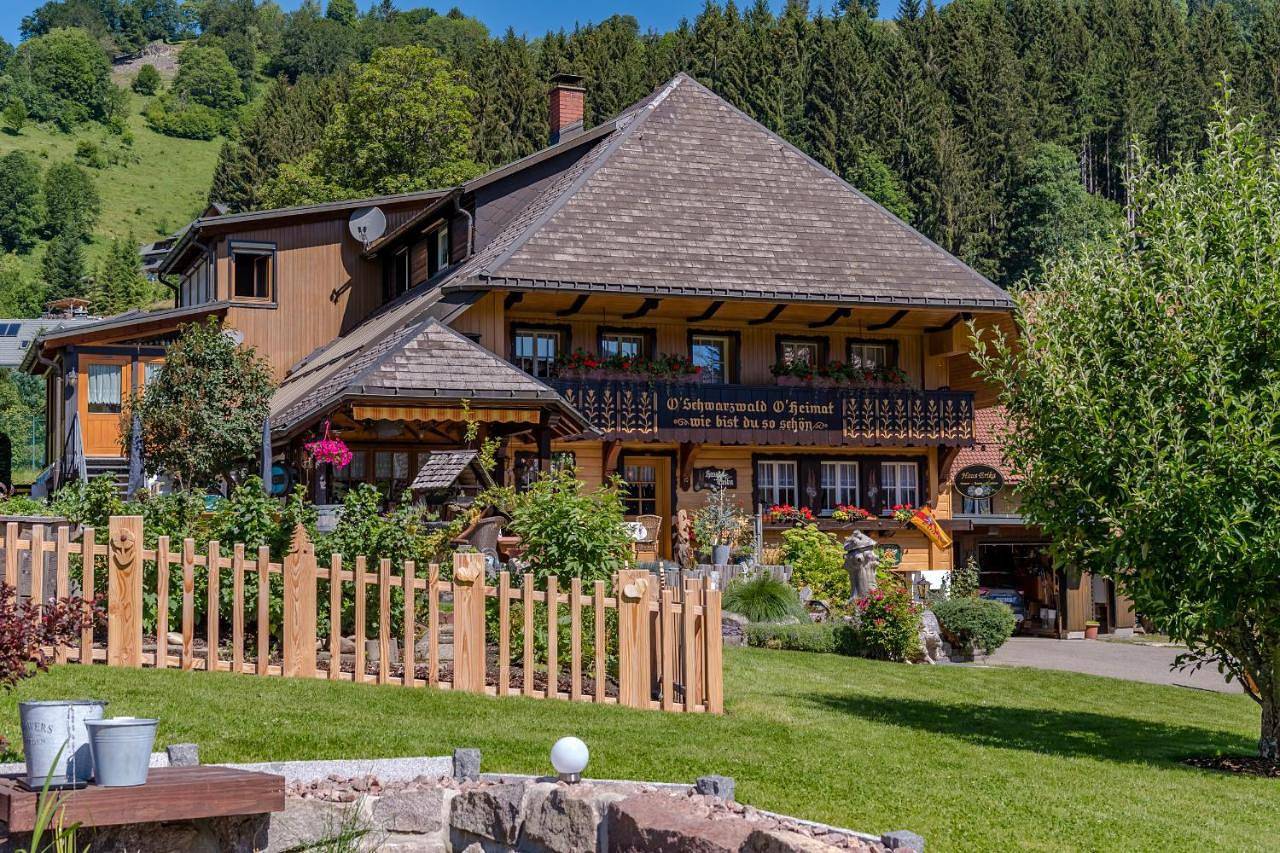 Haus Erika in Wieden, Südschwarzwald