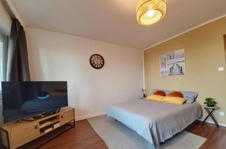 Gîte pour 3 personnes, avec vue à Hœnheim - 4