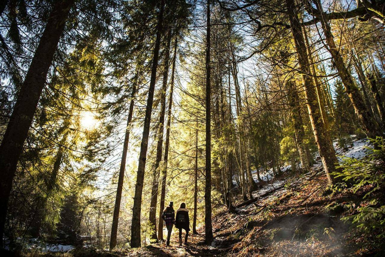 Fürstensteiner Hof, Ihr Urlaub im Herzen des Bayerischen Waldes in Fürstenstein, Bavière Orientale