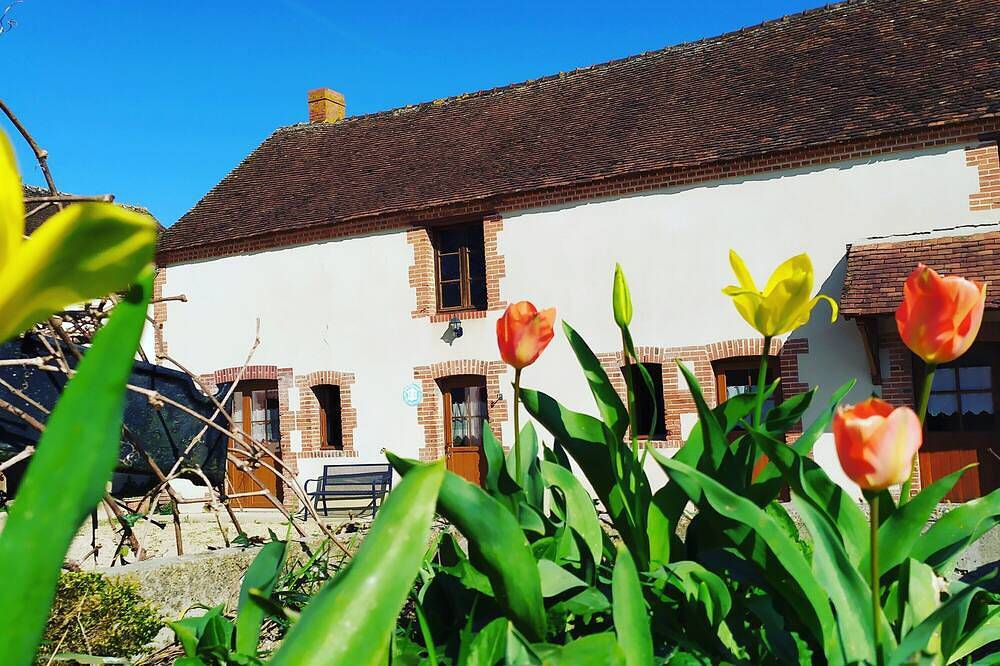Longère solognote avec piscine dans grand parc boisé et fleuri, proche Beauval. in Mennetou-sur-Cher, Sologne
