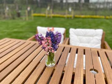 Chalet voor 6 Personen in Noordwijk, Nederlandse Noordzeekust, Afbeelding 3