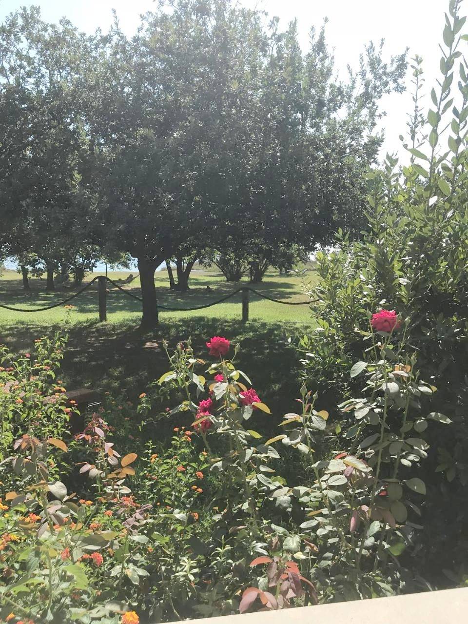 Appartement entier, One-Bedroom Apartment in Poggio-Mezzana, Arrondissement de Corte