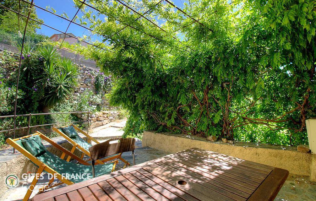 Glycine in Patrimonio (Córcega), Region de Calvi