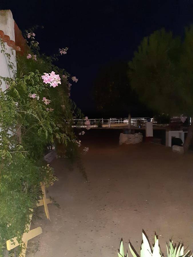 Casa rural para 5 personas, con Terraza en Jerez de los Caballeros - 2