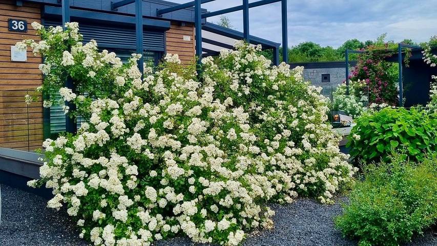 Ferienhaus für 4 Personen, mit Garten und Terrasse in Goch