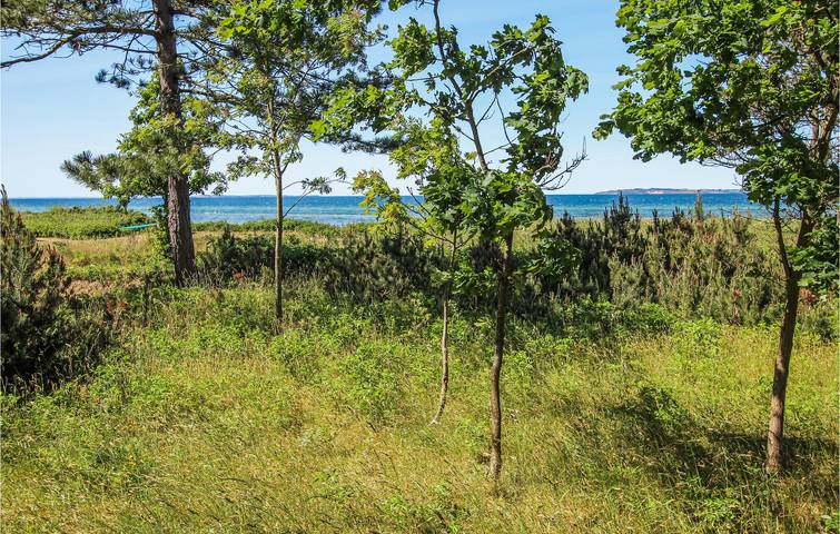 Bauernhof für 4 Personen, mit Haustier in Dänemark - 3