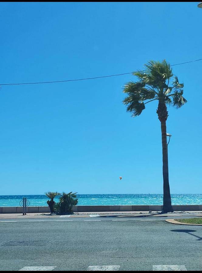 Gîte pour 2 personnes, avec terrasse, animaux acceptés dans Port du Cros de cagnes - 2