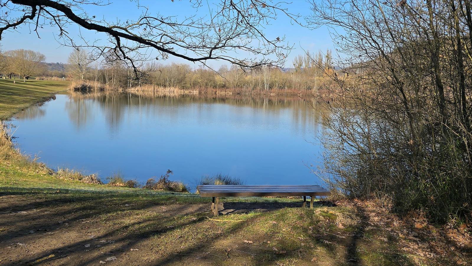 Ferienwohnung "Die Reblaus" - Ferienwohnung in Erlabrunn, Fränkisches Weinland