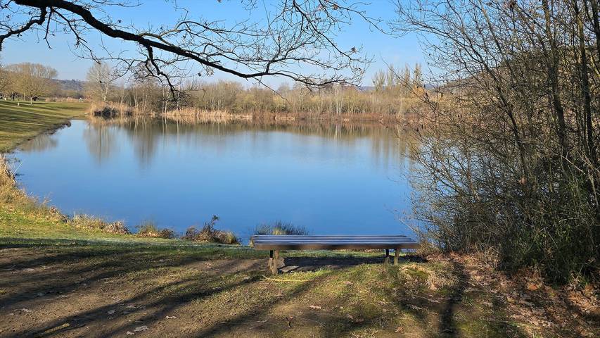 Ganze Wohnung, Ferienwohnung "Die Reblaus" - Ferienwohnung in Erlabrunn, Fränkisches Weinland