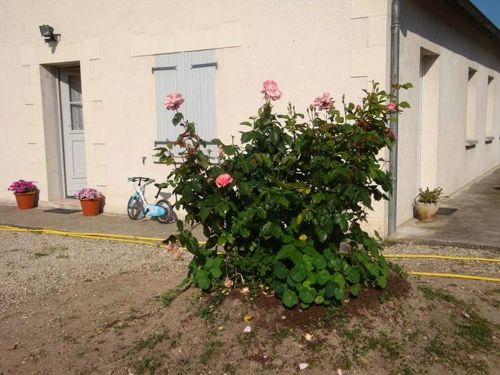 Location de vacances pour 10 personnes, avec jardin et terrasse à Noyers-sur-Cher - 2