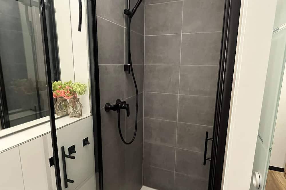 Ganze Wohnung, Gemütliche 2-Raum-Wohnung mit wunderbarer Dachterrasse im beschaulichen Heidelberg in Heidelberg, Rheinebene