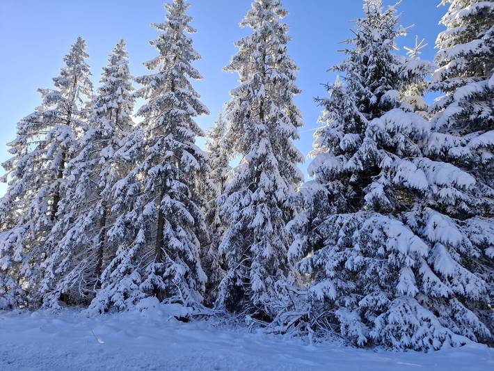 Ferienwohnung für 2 Personen, mit Terrasse, mit Haustier in Braunlage