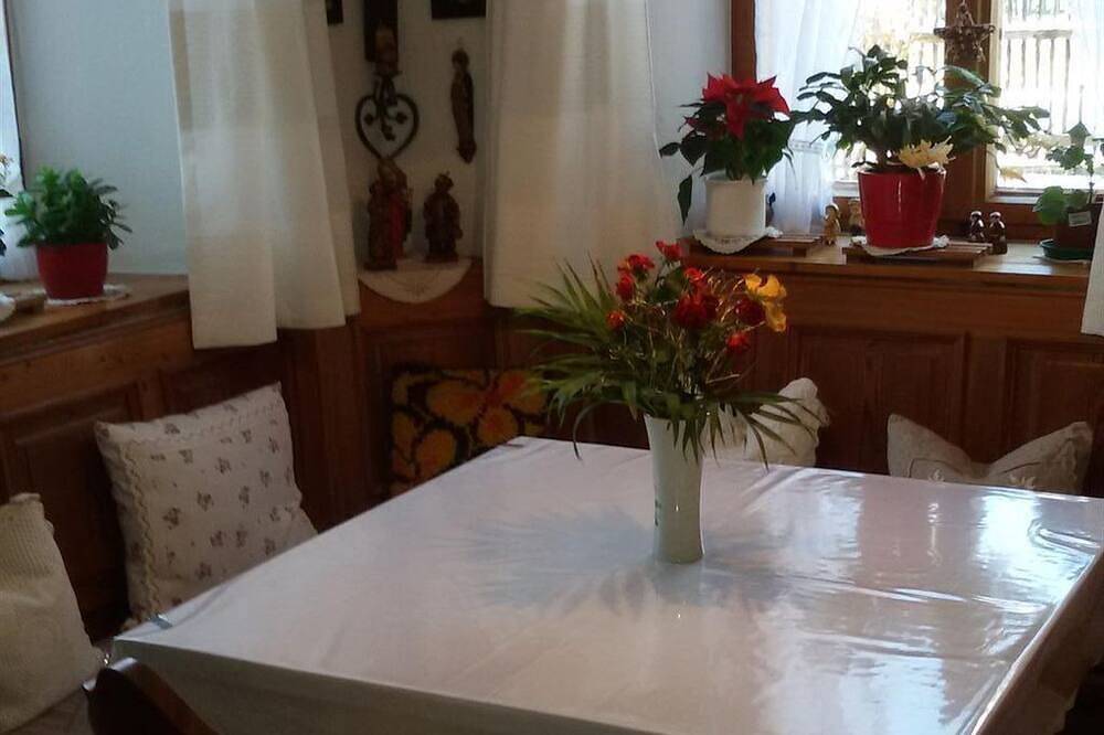 Ganze Wohnung, Appartement (2 Schlafz.) - Gästehaus  Daser in Unterammergau, Bayerische Alpen