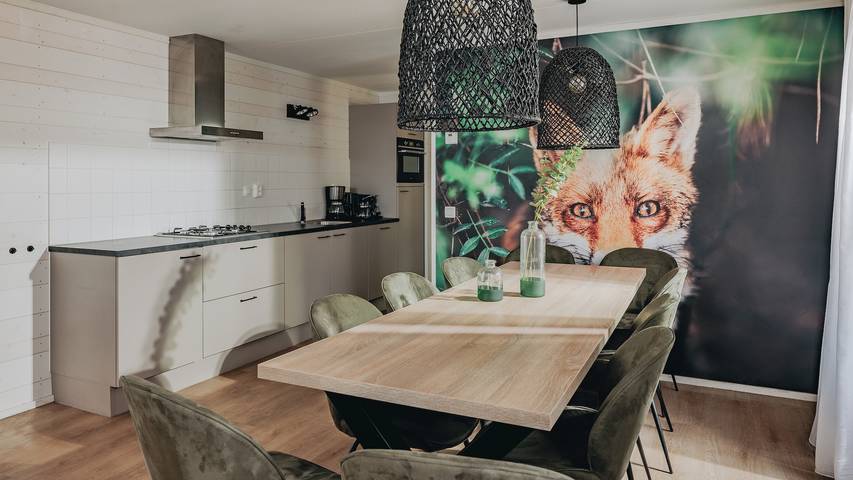 Ferienhaus für 10 Personen, mit Balkon/Terrasse und Terrasse sowie Garten in Nordbrabant - 4