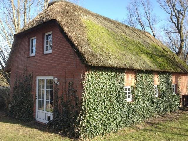 Vacation rental for 4 people, with Balcony/Terrace and Terrace as well as Yard in Eiderstedt