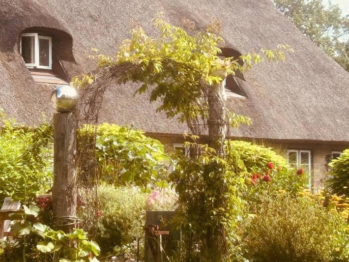 Ferienwohnung für 4 Personen, mit Terrasse und Garten sowie Ausblick in Jübek - 4