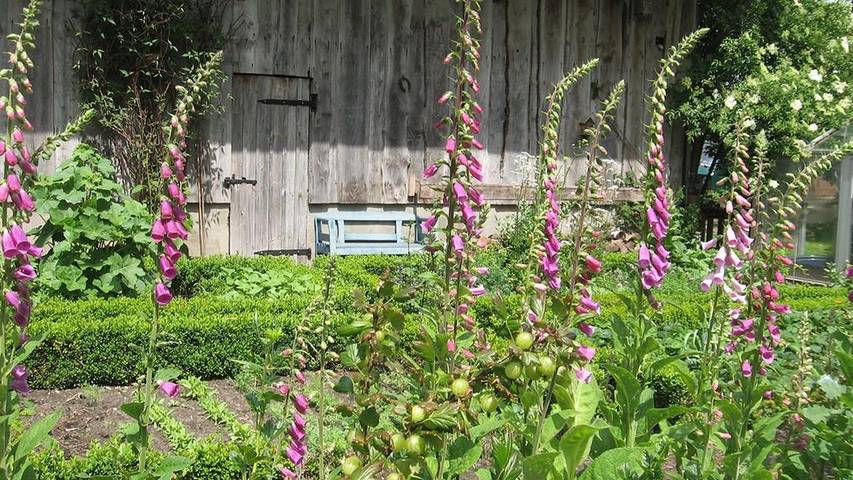 Ferienwohnung für 4 Personen, mit Garten in der Lüneburger Heide - 4