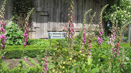 Ferienwohnung für 4 Personen in Bispingen, Nordheide, Bild 3