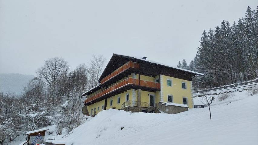 Ferienwohnung für 4 Personen, mit Balkon/Terrasse und Balkon sowie Garten und Seeblick in Lunz am See - 4