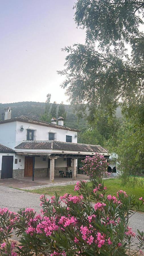 Location de vacances pour 7 personnes, avec vue ainsi que jardin et piscine à Zahara de la Sierra - 4