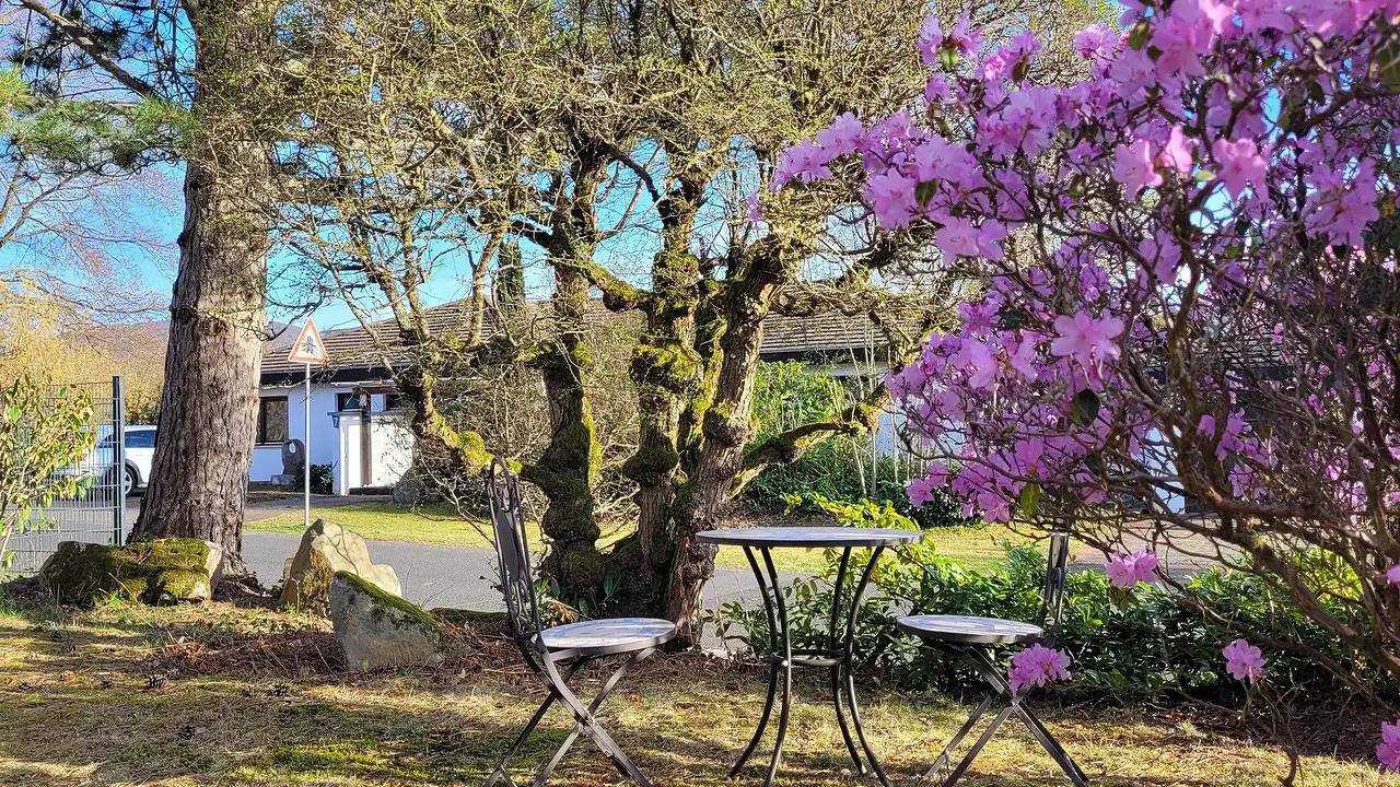 Ganze Ferienwohnung, Ferienwohnung für 2 Personen (54 m²) in Gersfeld in Gersfeld, Rhön-Hessen