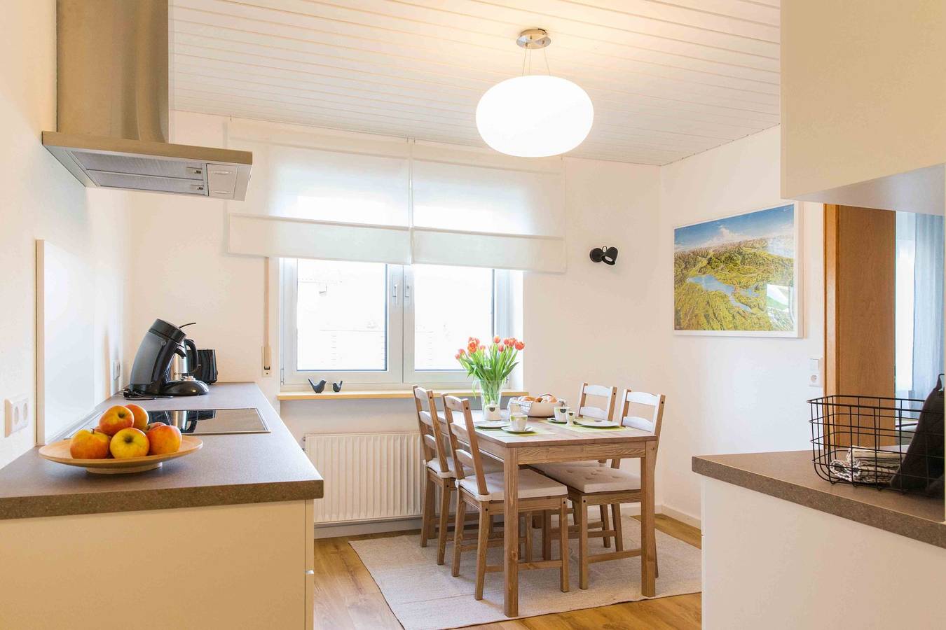 Ganze Wohnung, Ferienwohnung Am Alpenblick, 40qm, Terrasse, 1 Wohn-/Schlafzimmer, max. 2 Personen  in Lindau, Bayerisch Schwaben