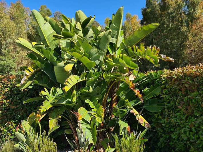 Location de vacances pour 7 personnes, avec terrasse à Vallauris - 3