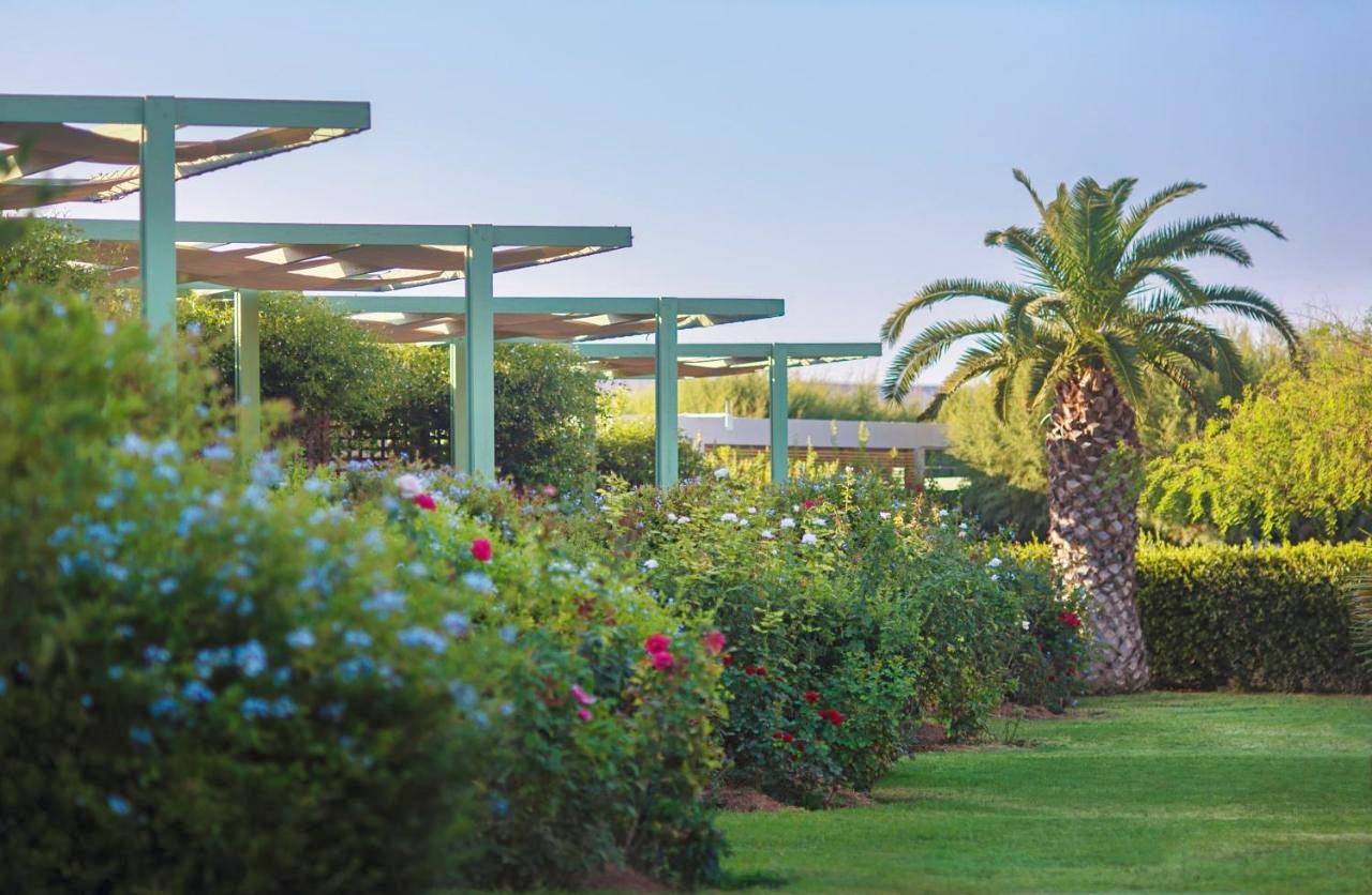 Nereids Apartments in Petras, Sitía