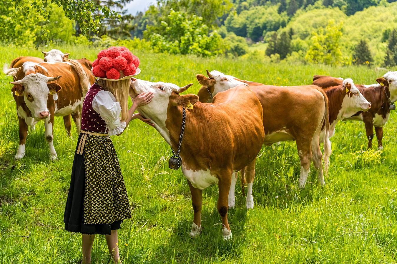 Ganze Ferienwohnung, Haus Alfred, Aitern, Belchen, Schwarzwald in Schönau im Schwarzwald, Südschwarzwald