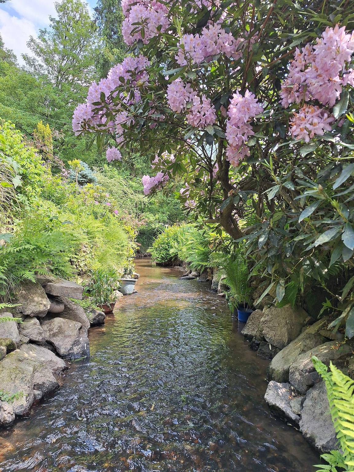 Gîte du Moulin de Tanis – Havre de nature en Mayenne in Oisseau, Mayenne