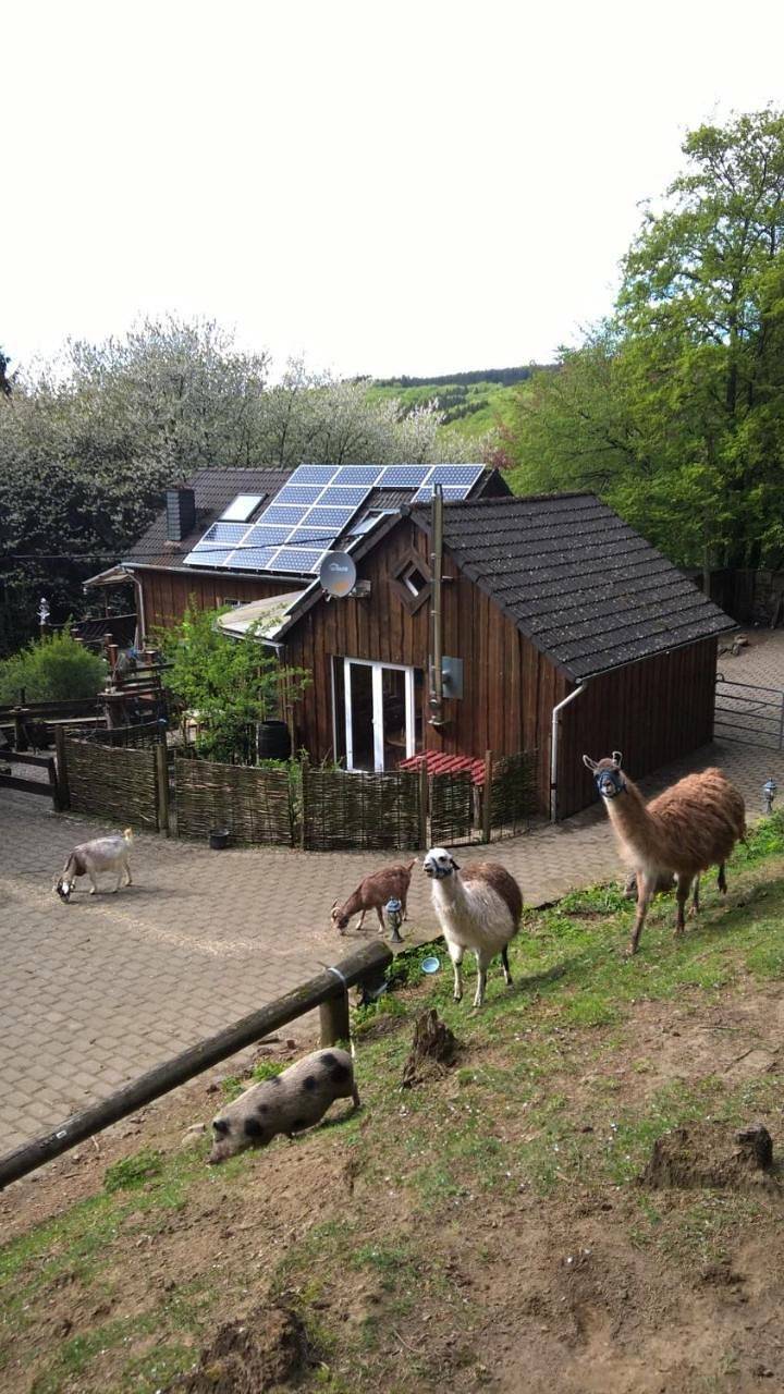 Funny-Farm in Sassen, Vulkaneifel