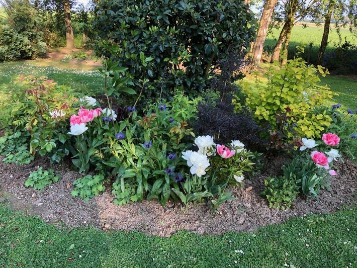 Location de vacances pour 6 personnes, avec vue et jardin, animaux acceptés à Octeville-sur-Mer - 3